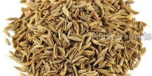 Green Cumin Seeds
