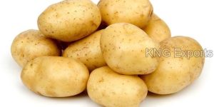 Fresh Potato