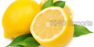 Fresh Lemon