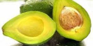 Fresh Avocado