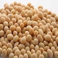 Organic Soya Bean