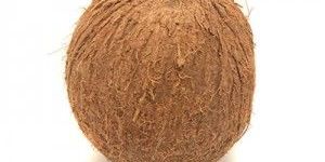 Coconut