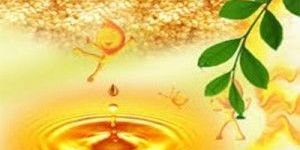 Gingelly Oil
