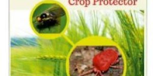 Mites & Thrips Control