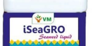 Seaweed Fertilizer (Liquid)