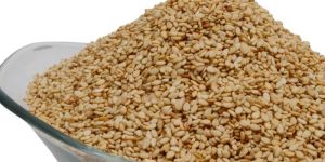 Roasted Sesame Seeds