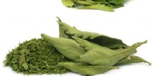 Dried Stevia Leaves