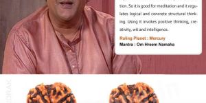 4 Mukhi Rudraksha from Teleone