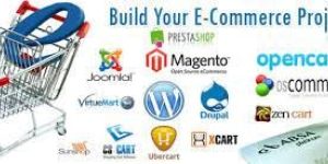 E Commerce Development Services