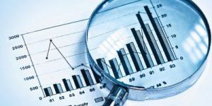 Due Diligence Service