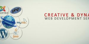 Dynamic Website Design Delhi NCR