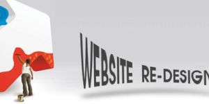 Web Design Delhi NCR
