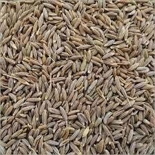 Cumin Seeds