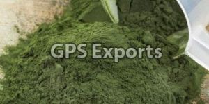 Spirulina Powder