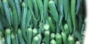 Fresh Okra