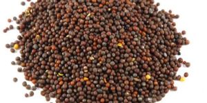 Black Mustard Seeds
