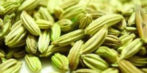 Fennel Seeds