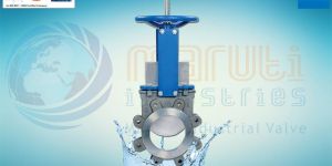 Knife Edge Gate Valve India