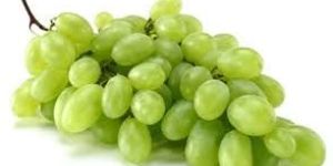 Fresh Grapes