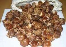 Soapnut Shells