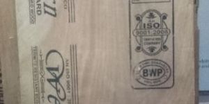 Flush Doors in Hardwood