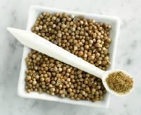 Dry Coriander Powder