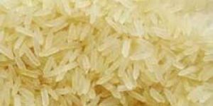 IR 64 Rice