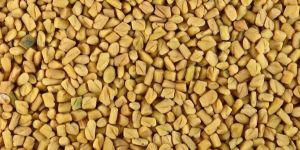 Fenugreek Seeds (Methi)