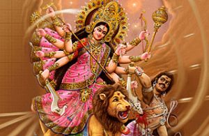 Non Woven Printed Bag