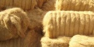 Coconut Fibre