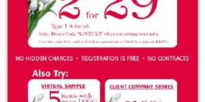 Pamphlet Printing & Designing Services