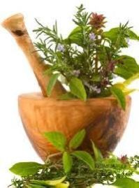 Medicinal Herbal Plants