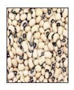Black Eyed Beans