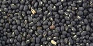 Black Mung Beans