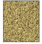 Cumin Seeds