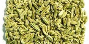 Fennel Seeds
