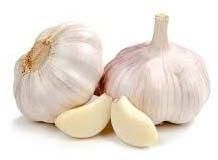 Fresh Garlic