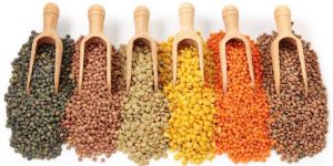 Indian Pulses