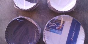 Disposable Paper Plates