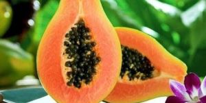 Fresh Papaya