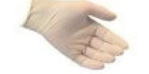 Vinyl Gloves