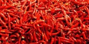 Dried Red Chilli