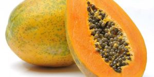 Fresh Papaya