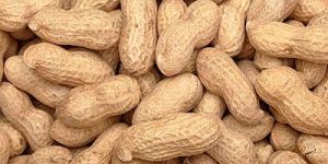 Shelled Groundnuts