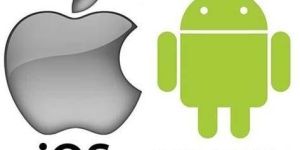 Mobile APP Development Service