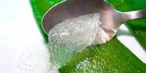 Aloe Vera Pulp