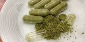 Organic Moringa Oleifera