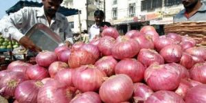 Fresh Red Onion