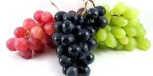 Fresh Grapes