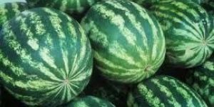 Fresh Watermelon